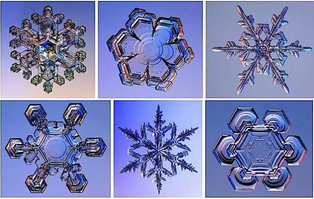 snowflakes